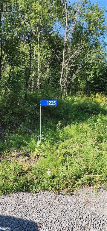 Lot 22 Concession 3, Utterson, Ontario  P0B 1M0 - Photo 3 - 40474033