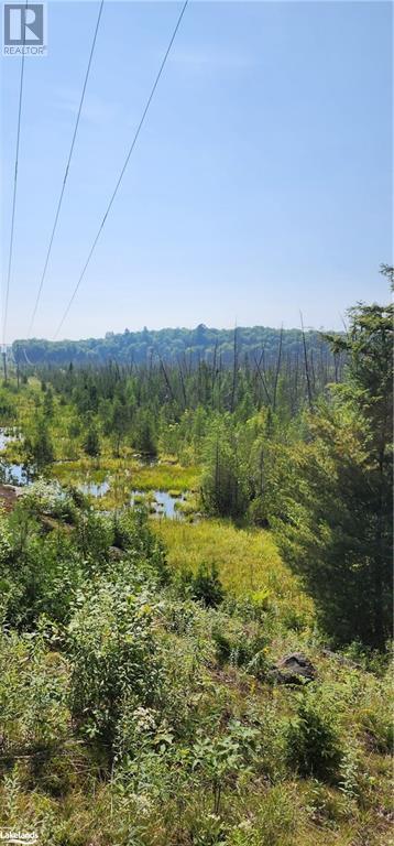 Lot 22 Concession 3, Utterson, Ontario  P0B 1M0 - Photo 5 - 40474033