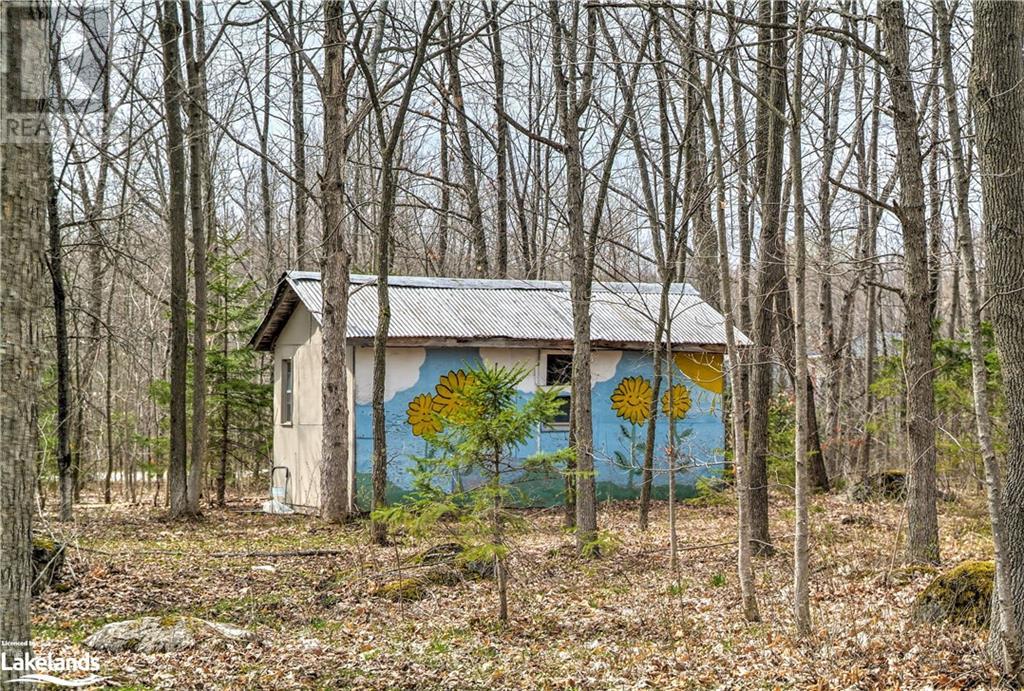 78277 11th Line, Meaford, Ontario  N4L 1W5 - Photo 12 - 40404252