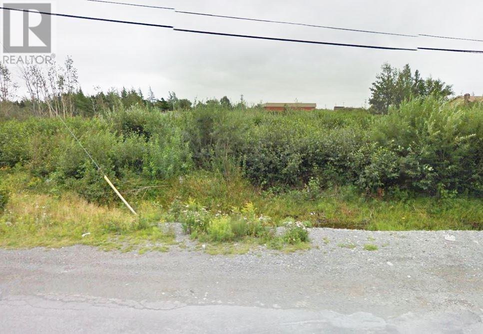 17 Country Road, Bay Roberts, Newfoundland & Labrador  A0A 1G0 - Photo 3 - 1262774