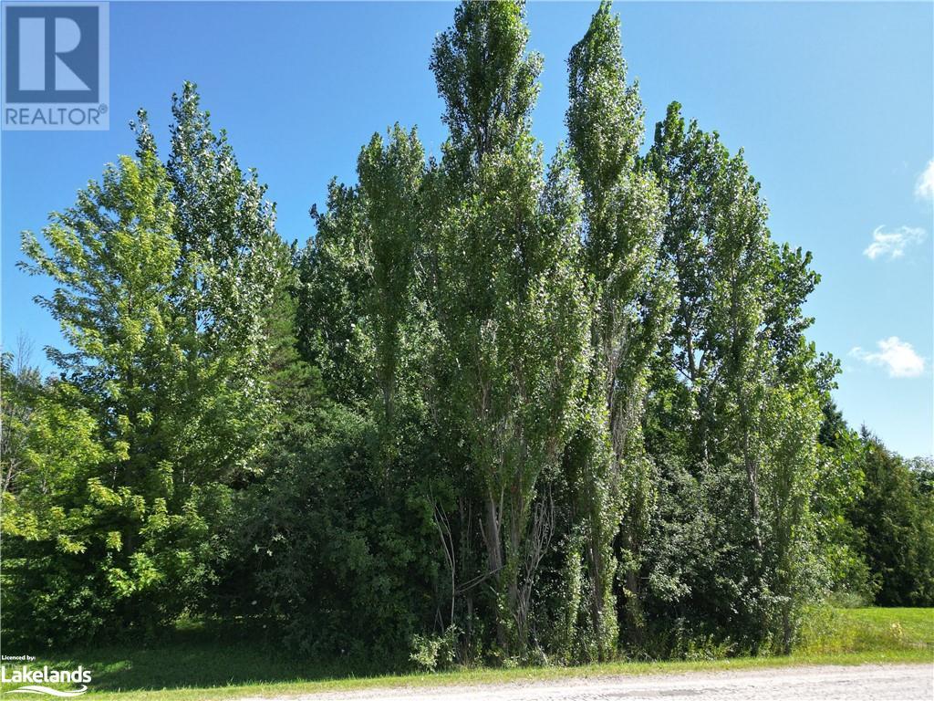 Part Lot 9 3rd Concession, Meaford (Municipality), Ontario  N4L 1W7 - Photo 3 - 40474285