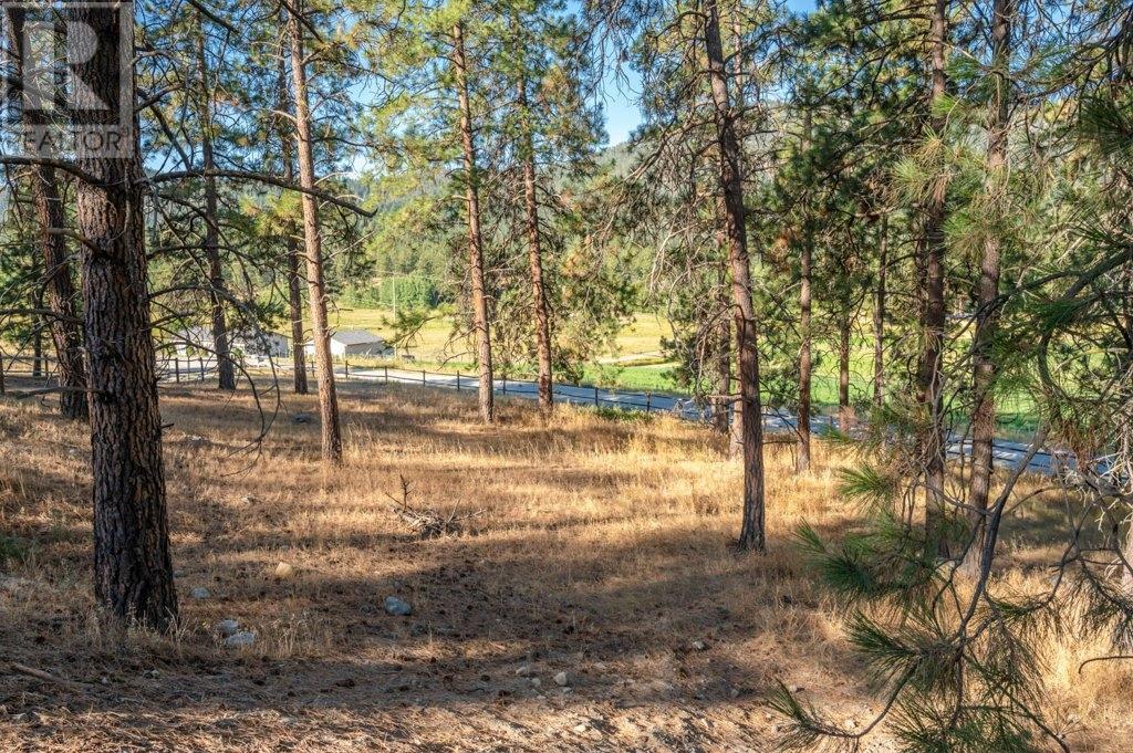 501 FISH LAKE Road Summerland Photo 34