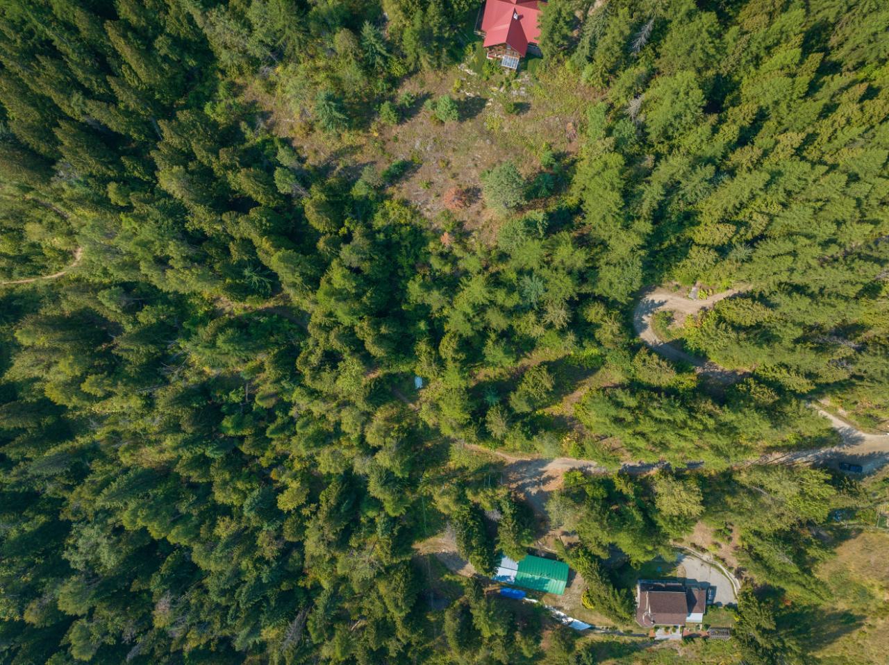 2009 Happy Valley Road, Rossland, British Columbia  V0G 1Y0 - Photo 14 - 2472960