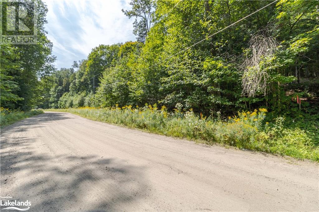0 moon road, haliburton