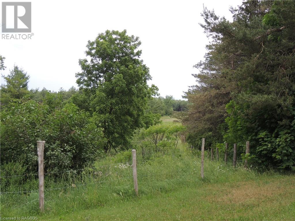 345353 Concession 2, Grey Highlands, Ontario  N0C 1E0 - Photo 24 - 40474930