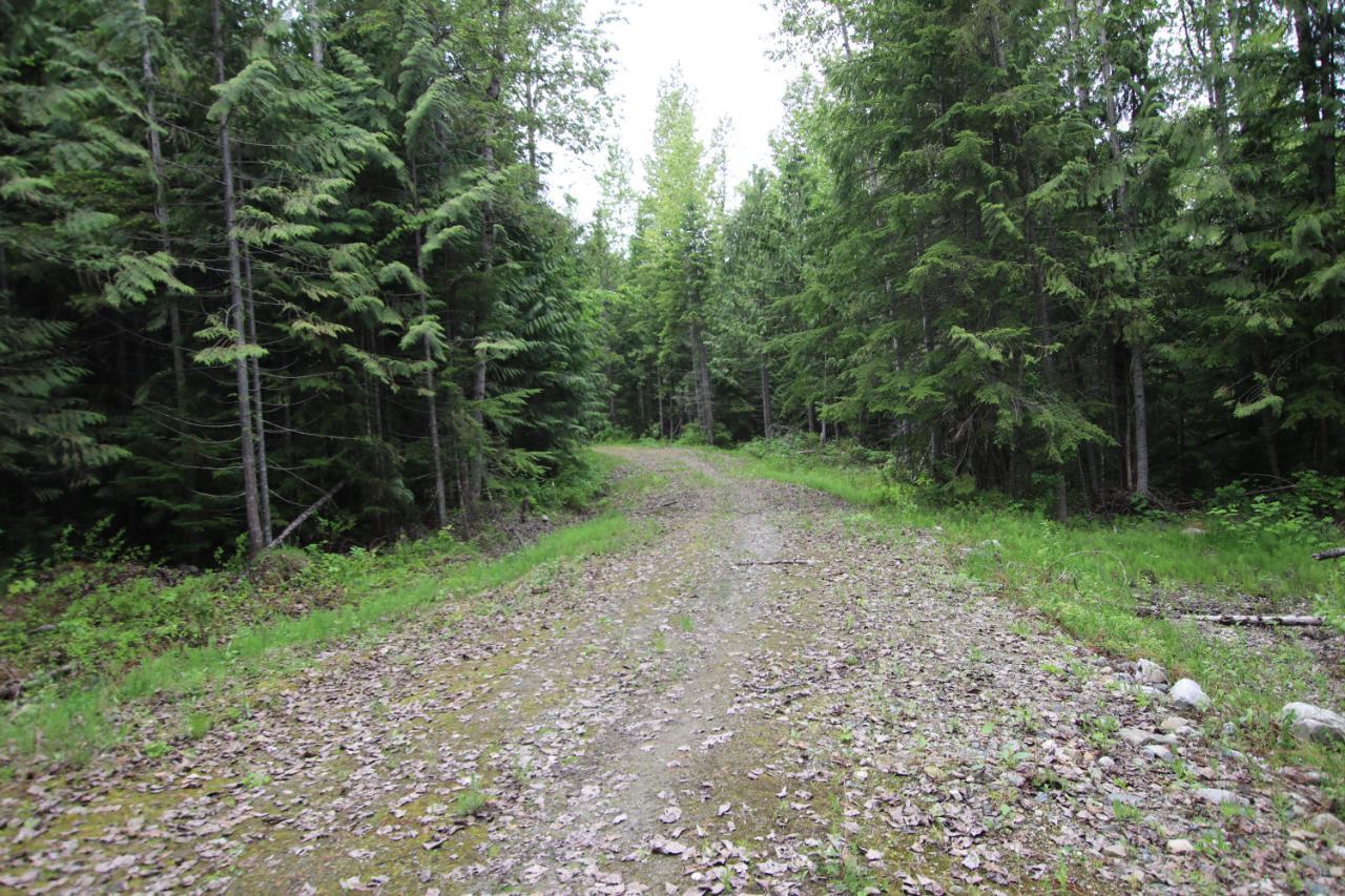 7766 Highway 23, Galena Bay, British Columbia  V0G 1R1 - Photo 26 - 2472989