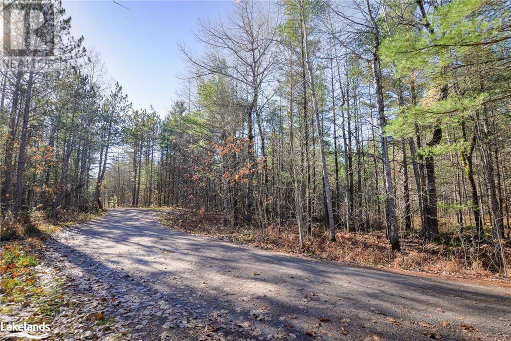 0 Frederick Lane, Gravenhurst, Ontario  P1P 1R3 - Photo 1 - 40476918