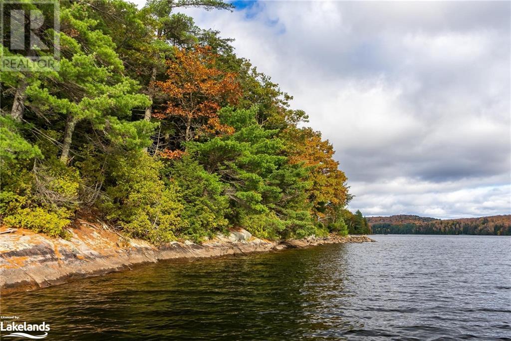 16750 Dennison Island, Dorset, Ontario  P0A 1E0 - Photo 15 - 40477389