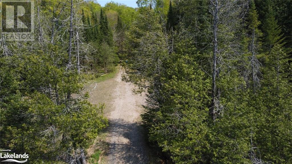 0 Between Lakes Trail, Haliburton, Ontario  K0M 1S0 - Photo 24 - 40477431