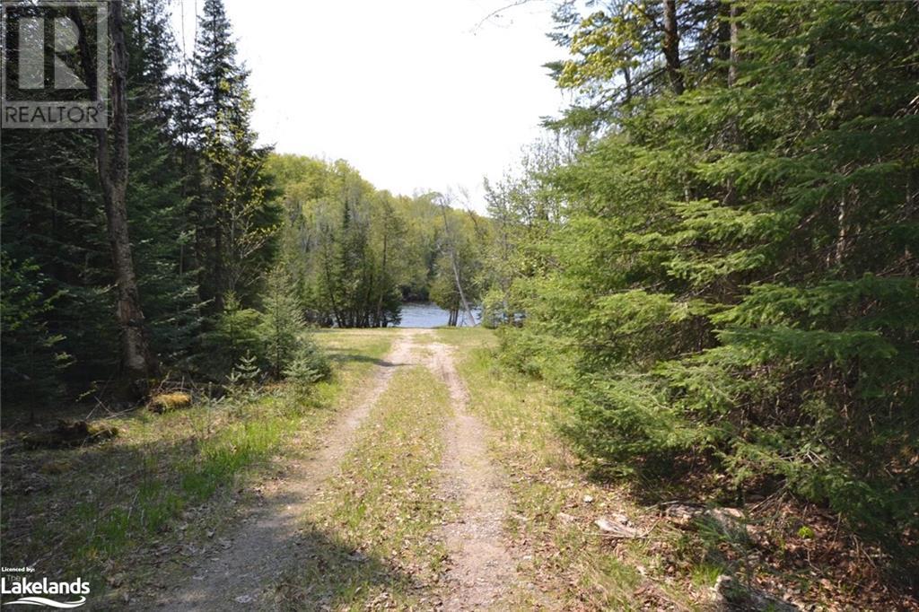 0 Between Lakes Trail, Haliburton, Ontario  K0M 1S0 - Photo 7 - 40477431