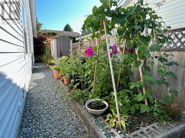 22866 125a Avenue, Maple Ridge, British Columbia  V2X 0N3 - Photo 36 - R2811780