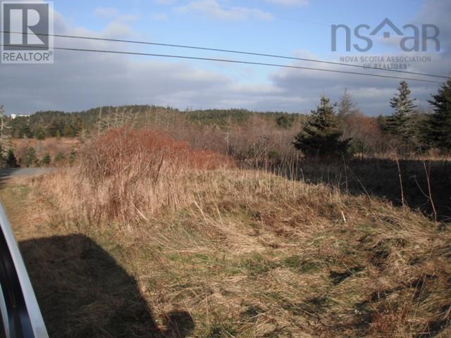 32 St Peters Fourchu Road, Lower L'ardoise, Nova Scotia  B0E 1W0 - Photo 7 - 202318475