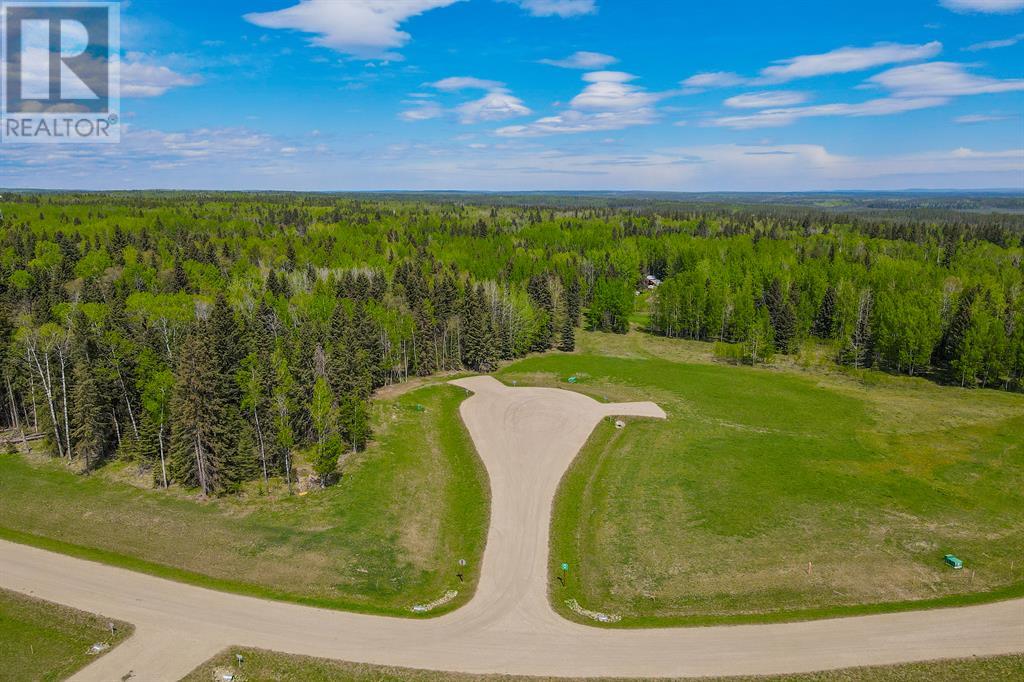 102 Fox Ridge Boulevard, Rural Clearwater County, Alberta  T4T 2A4 - Photo 15 - A2001794