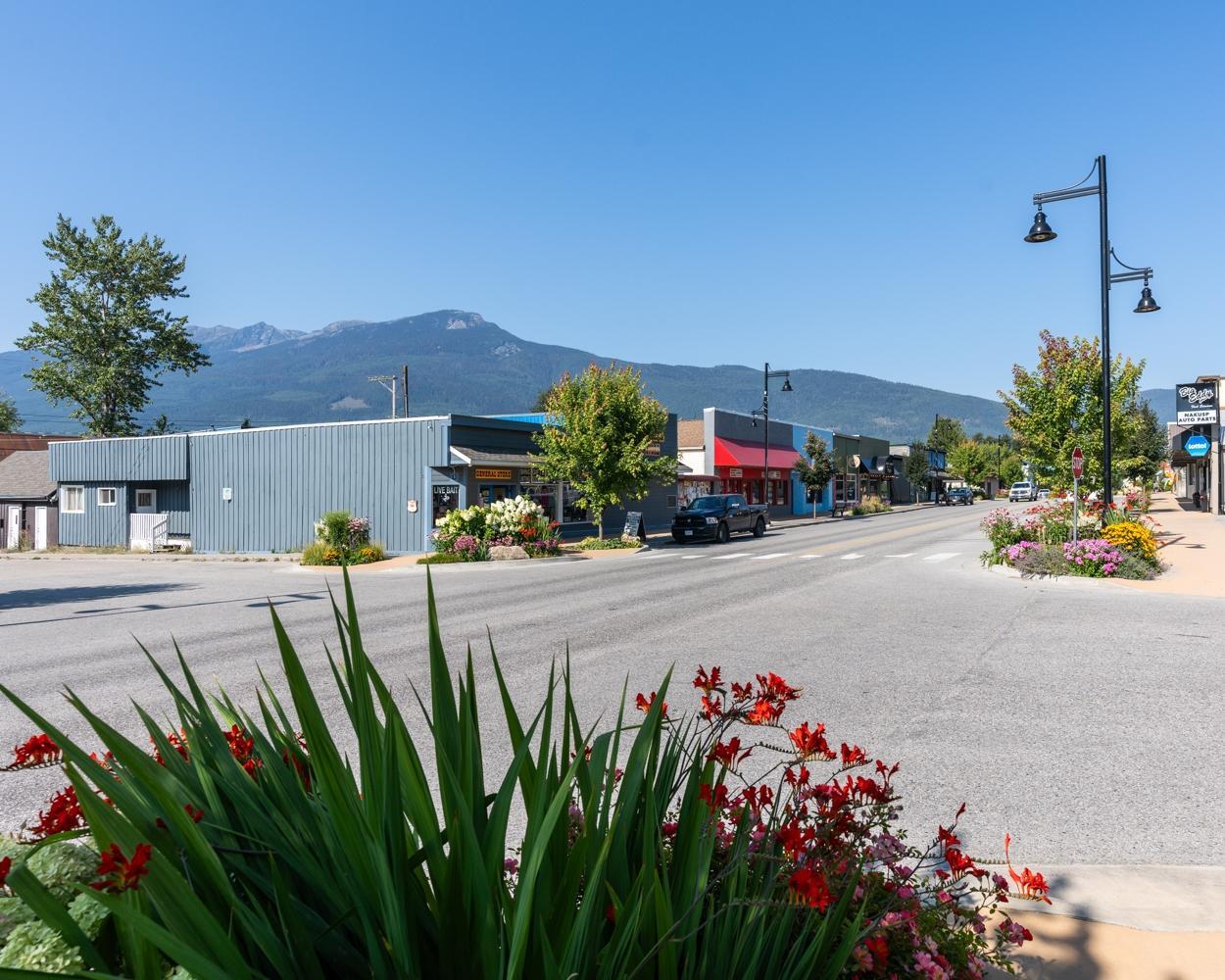 92 4th Avenue, Nakusp, British Columbia  V0G 1R1 - Photo 9 - 2473068