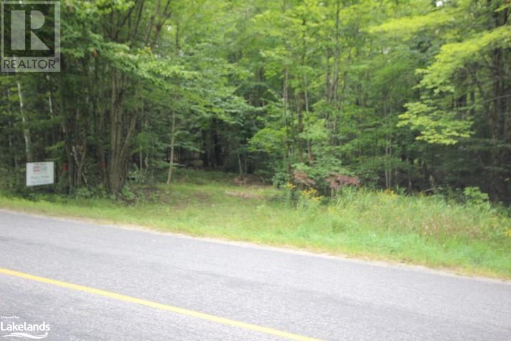 1810 Doe Lake Road, Bracebridge, Ontario  P1P 1R3 - Photo 7 - 40478017