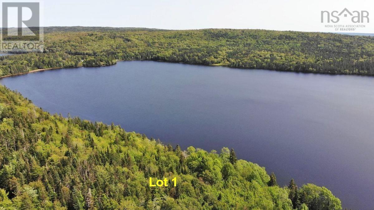 Lot 1 Beechmont Road, Gillis Lake, Nova Scotia  B2A 4J2 - Photo 1 - 202310111