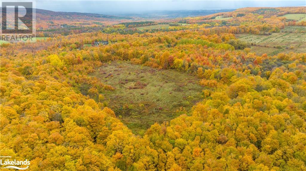 Lot 7 3rd Line, The Blue Mountains, Ontario  N0H 2P0 - Photo 4 - 40479343