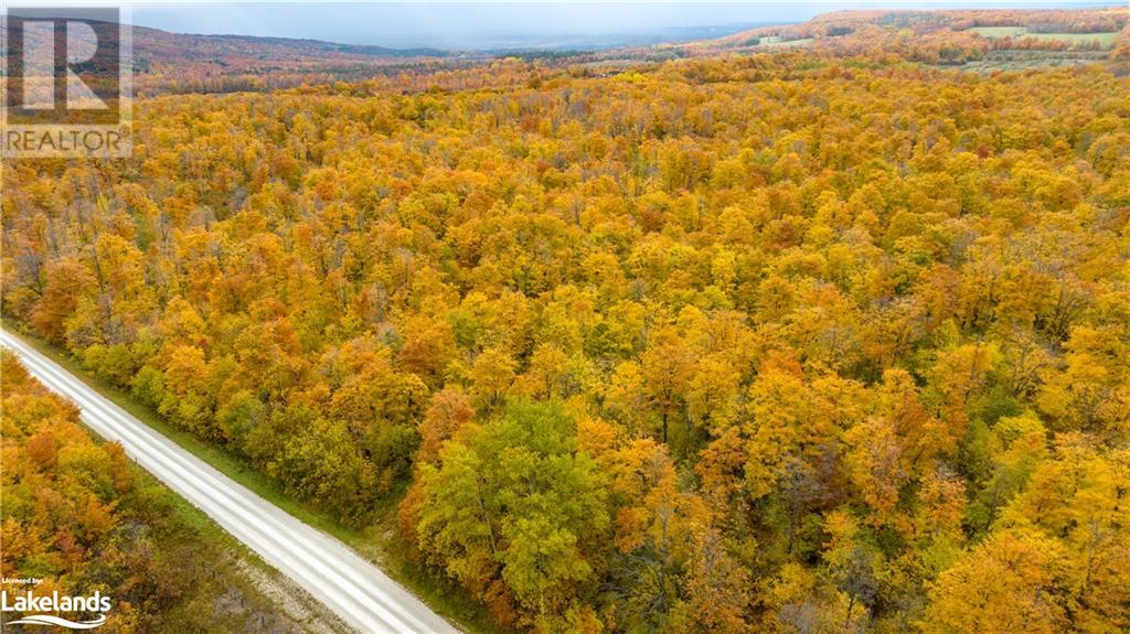 Lot 7 3rd Line, The Blue Mountains, Ontario  N0H 2P0 - Photo 6 - 40479343