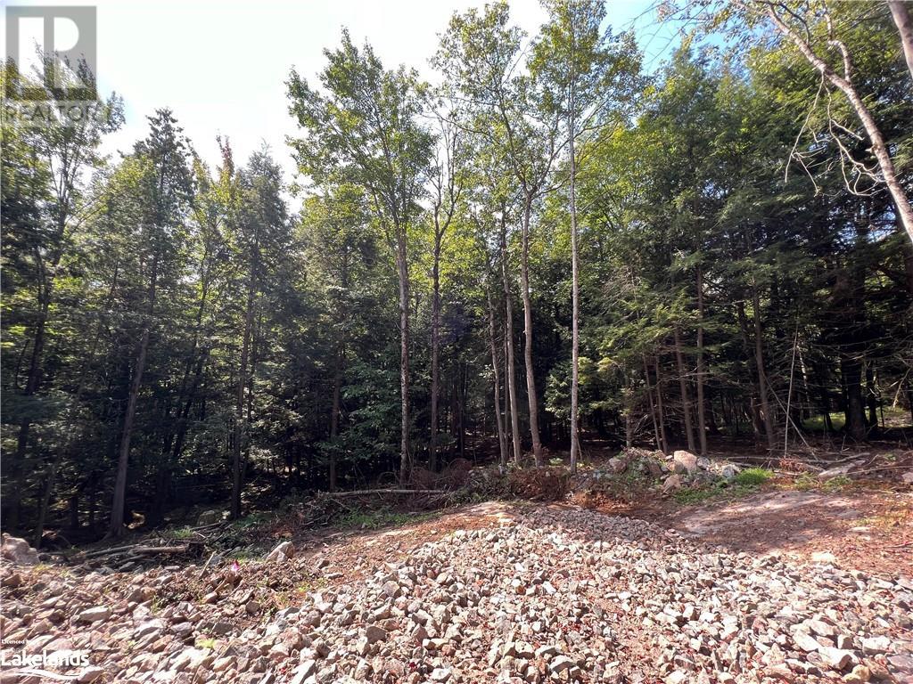 Lot 2 Dome Street, Haliburton, Ontario  K0M 1S0 - Photo 14 - 40477954