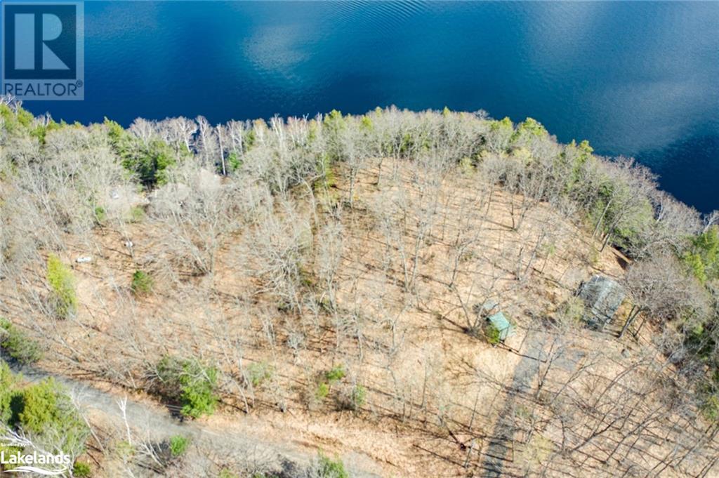 0 Long Point Road, Dwight, Ontario  P0A 1H0 - Photo 10 - 40419108