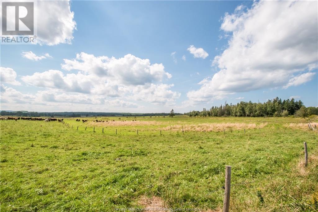 263 Hicks Settlement Rd, Hicks Settlement, New Brunswick  E4Z 5B5 - Photo 13 - M146913