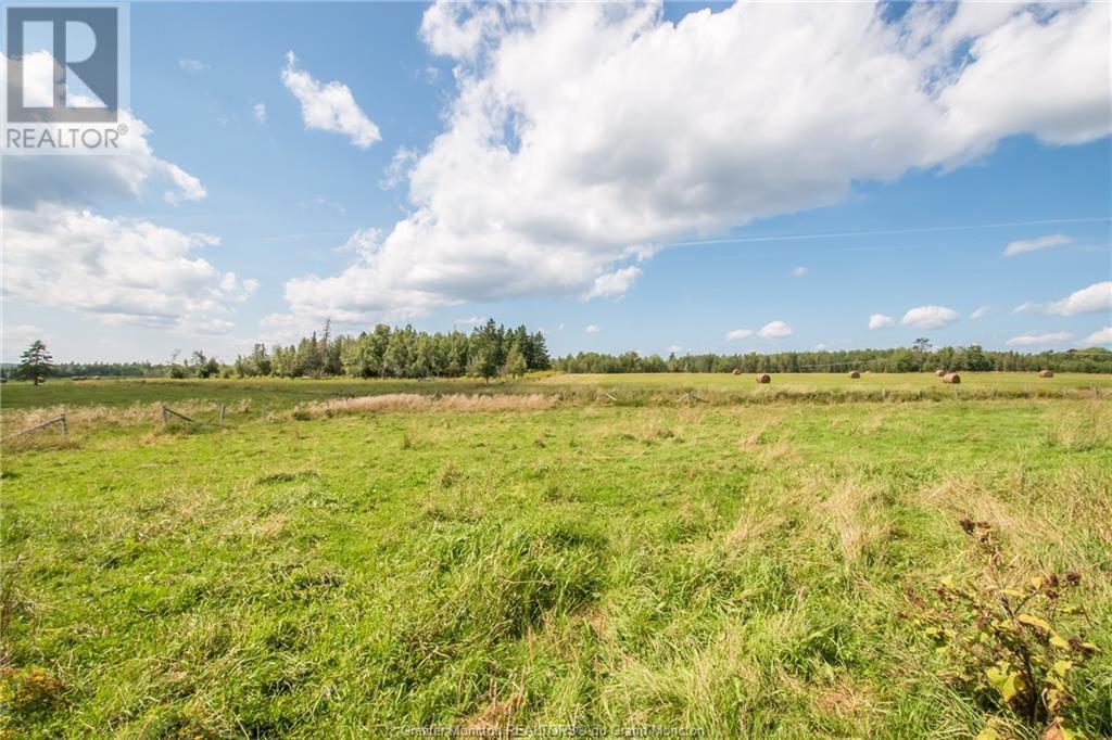 263 Hicks Settlement Rd, Hicks Settlement, New Brunswick  E4Z 5B5 - Photo 11 - M146913