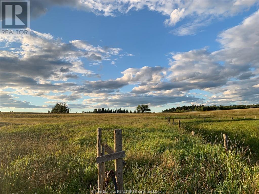 415/417 Hicks Settlement Rd, Hicks Settlement, New Brunswick  E4Z 5B6 - Photo 48 - M146901