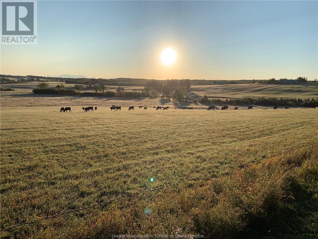 415/417 Hicks Settlement Rd, Hicks Settlement, New Brunswick  E4Z 5B6 - Photo 49 - M146901