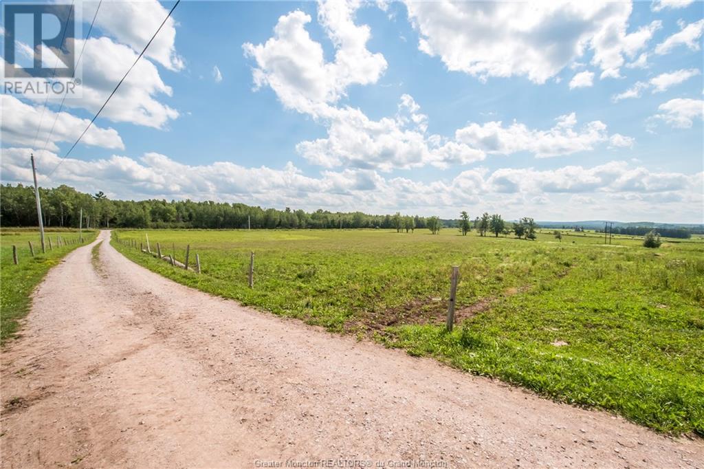 229 Hicks Settlement Rd, Hicks Settlement, New Brunswick  E4Z 5B6 - Photo 11 - M146902