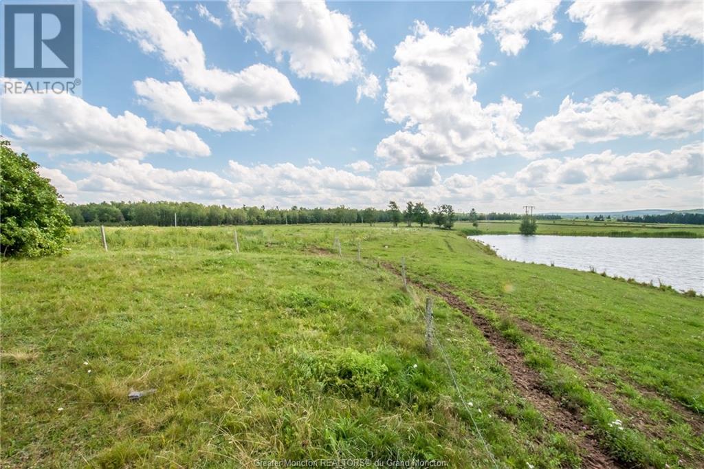 229 Hicks Settlement Rd, Hicks Settlement, New Brunswick  E4Z 5B6 - Photo 17 - M146902