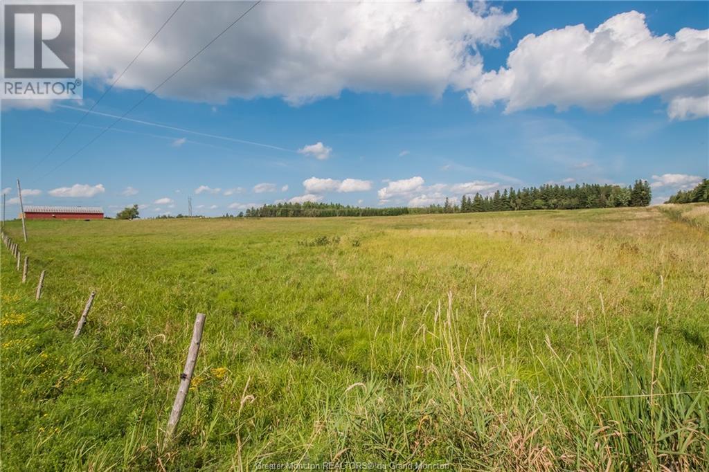 229 Hicks Settlement Rd, Hicks Settlement, New Brunswick  E4Z 5B6 - Photo 27 - M146902