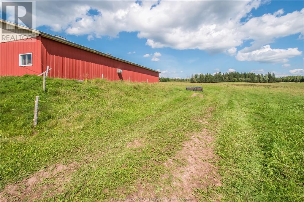 229 Hicks Settlement Rd, Hicks Settlement, New Brunswick  E4Z 5B6 - Photo 10 - M146902