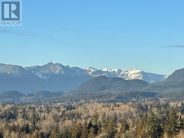 13 24850 106 Avenue, Maple Ridge, British Columbia  V2W 0K4 - Photo 39 - R2813501