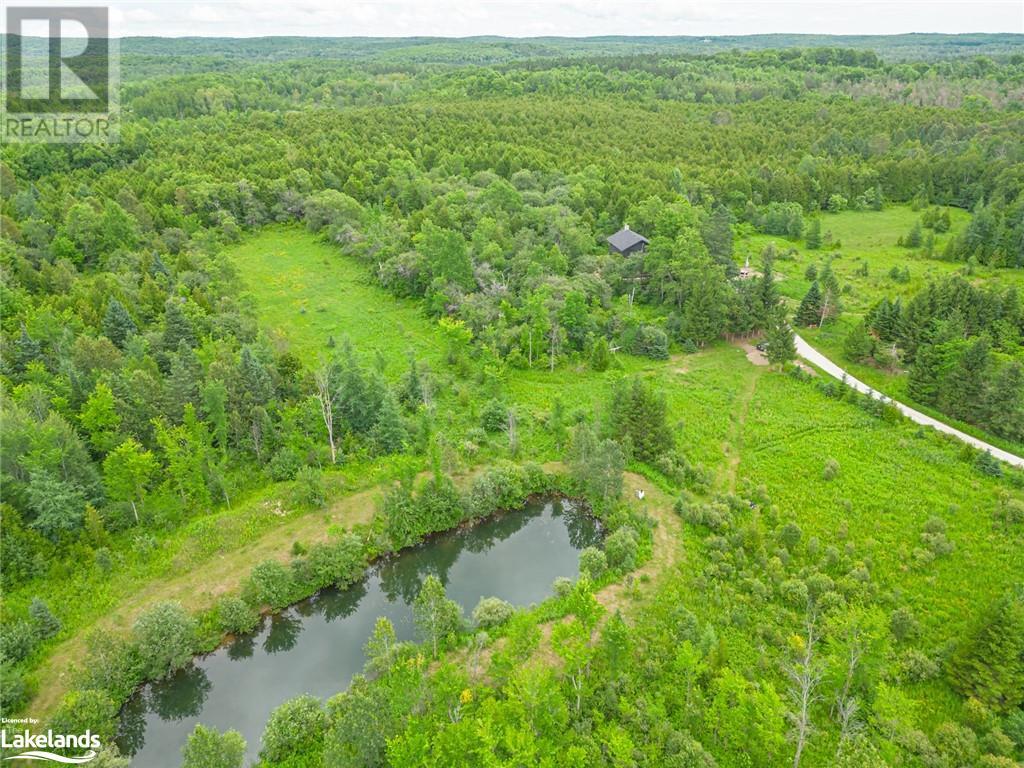 355255 The Blue Mountains-Euphrasia Townline, The Blue Mountains, Ontario  N0H 1J0 - Photo 6 - 40472626