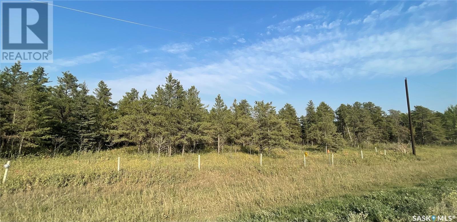 5.43 Acres Ridge, Hudson Bay Rm No. 394, Saskatchewan  S0E 0Y0 - Photo 3 - SK945057