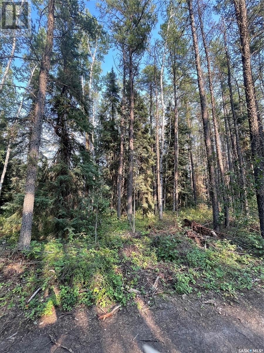 5.22 Acre Lot, Hudson Bay Rm No. 394, Saskatchewan  S0E 0Y0 - Photo 4 - SK945056