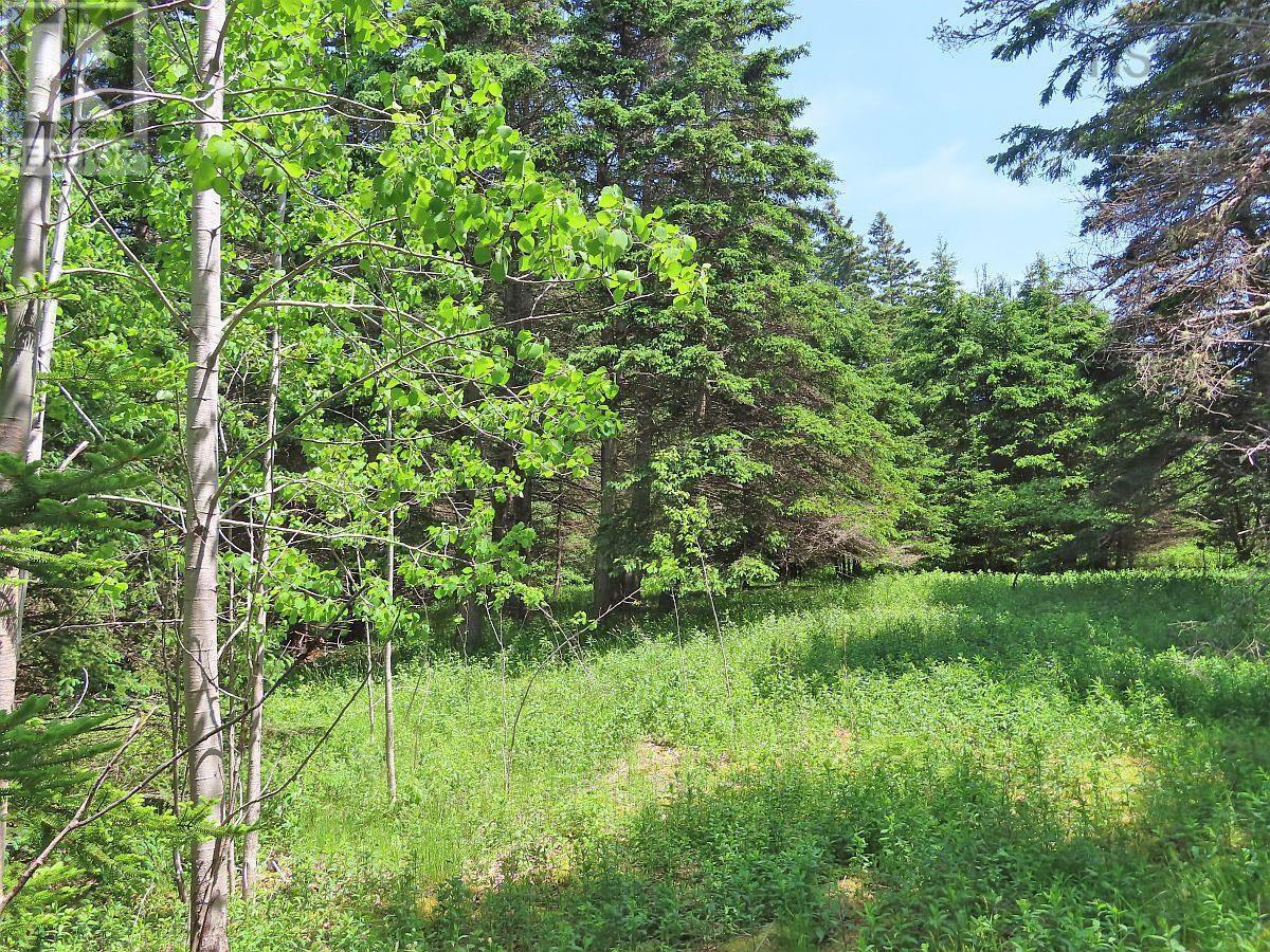 Grand Greve Road, Grande Greve, Nova Scotia  B0E 3B0 - Photo 18 - 202312289