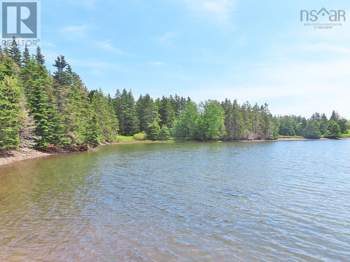 Grand Greve Road, Grande Greve, Nova Scotia  B0E 3B0 - Photo 2 - 202312289