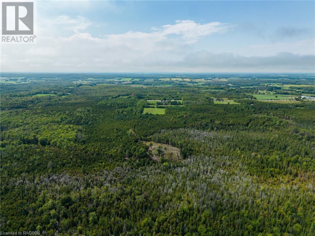 316743 Highway 6, Chatsworth, Ontario  N0H 1G0 - Photo 14 - 40477950