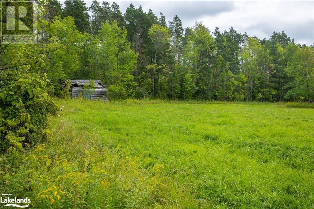 Part Lot 29 Concession 2, West Grey, Ontario  N0G 1R0 - Photo 10 - 40472519