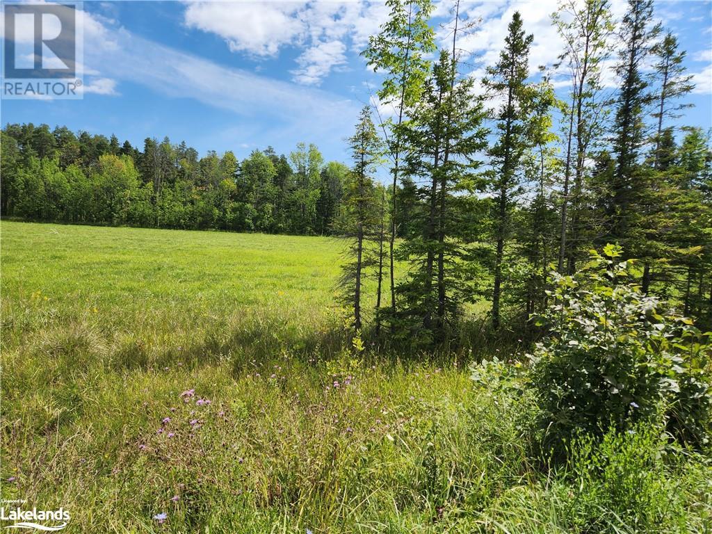 Part Lot 29 Concession 2, West Grey, Ontario  N0G 1R0 - Photo 5 - 40472519