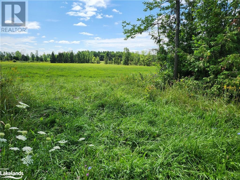 Part Lot 29 Concession 2, West Grey, Ontario  N0G 1R0 - Photo 1 - 40472519