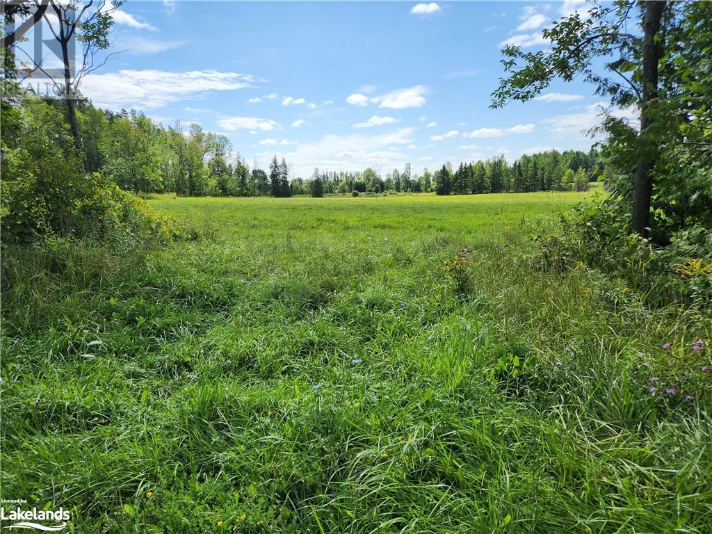 Part Lot 29 Concession 2, West Grey, Ontario  N0G 1R0 - Photo 2 - 40472519