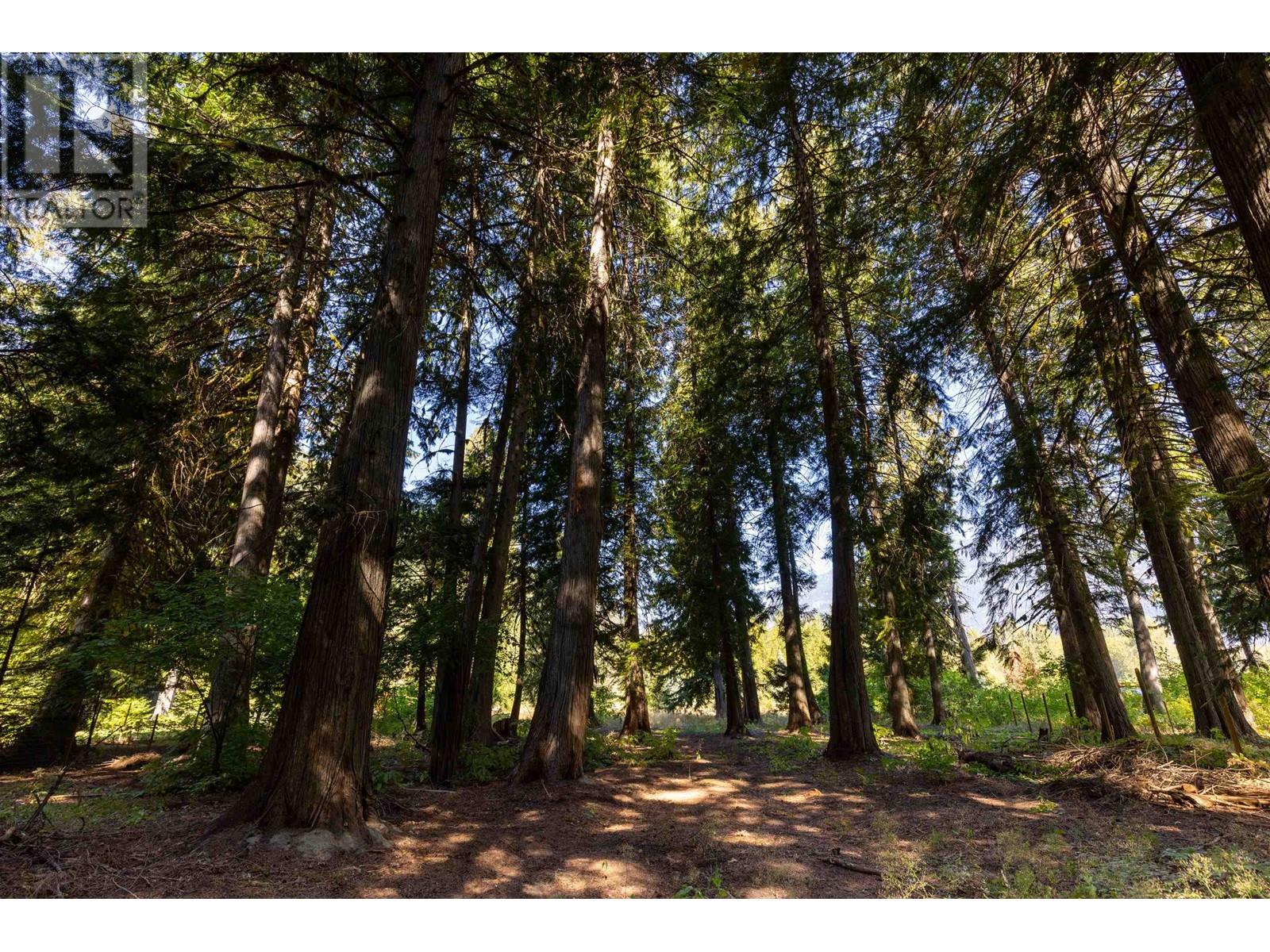 1033 Cedar Grove Road, Pemberton, British Columbia  V0N 2L2 - Photo 27 - R2814939