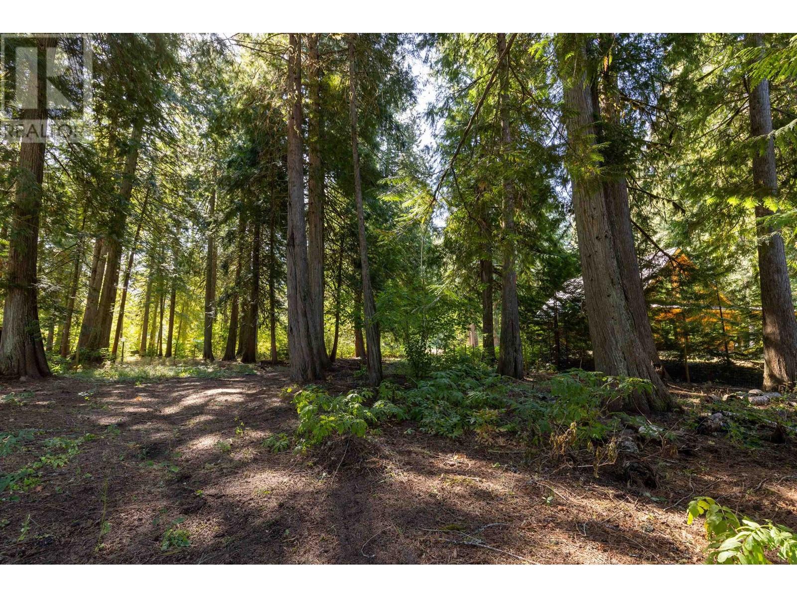 1033 Cedar Grove Road, Pemberton, British Columbia  V0N 2L2 - Photo 28 - R2814939