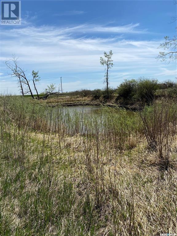 Rm Bratt's Lake #129, Bratt's Lake Rm No. 129, Saskatchewan  S0G 5E0 - Photo 36 - SK945195