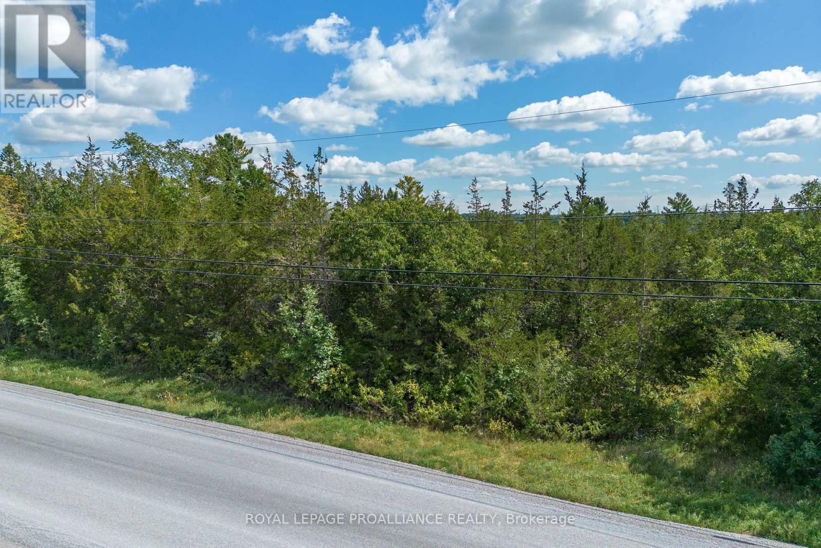 Ptlt29 Melrose Rd, Tyendinaga, Ontario  K0K 2N0 - Photo 3 - X6816230