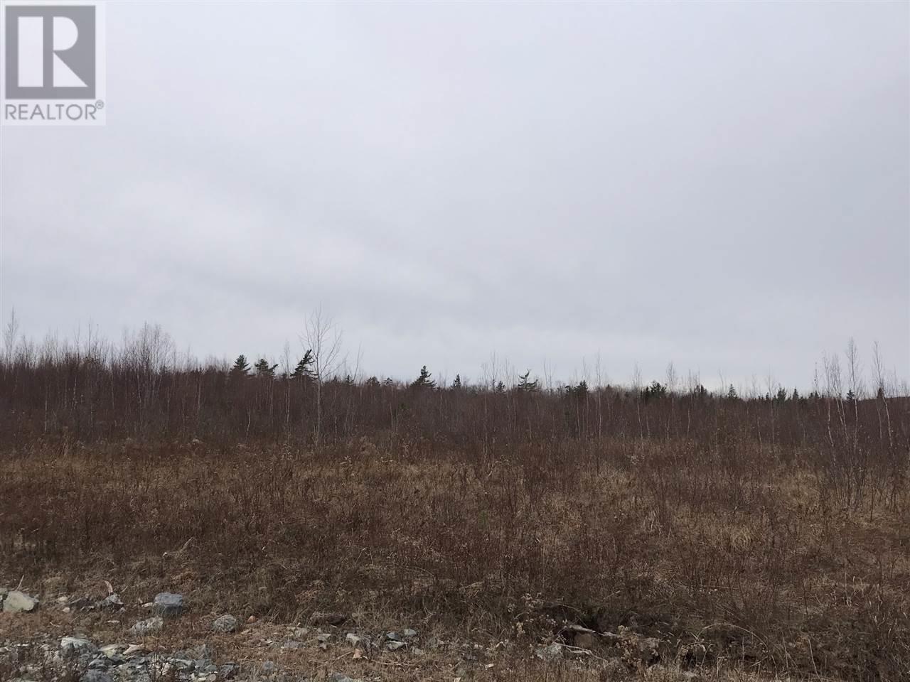 331 Old Halifax Road, Salt Springs, Nova Scotia  B0M 1R0 - Photo 24 - 202024704