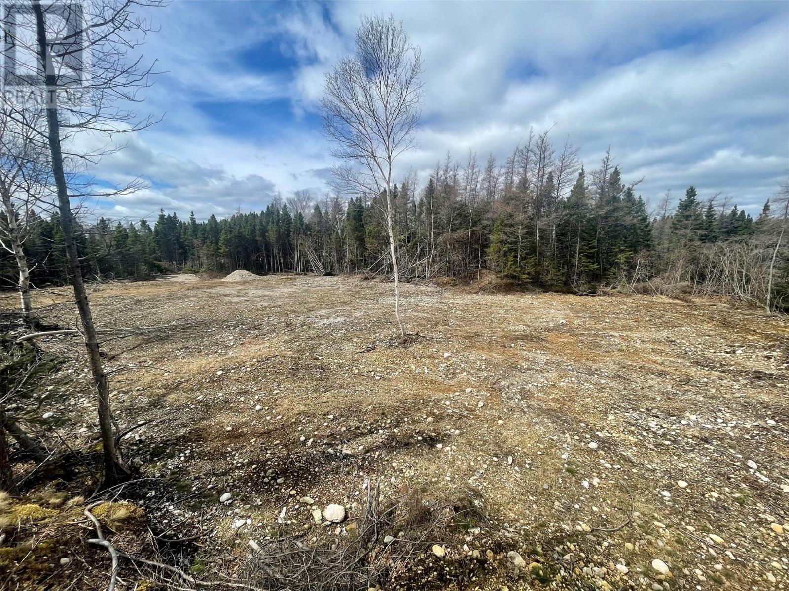 134 Main Road, Eastport, A0G3W0, ,Vacant land,For sale,Main,1258031