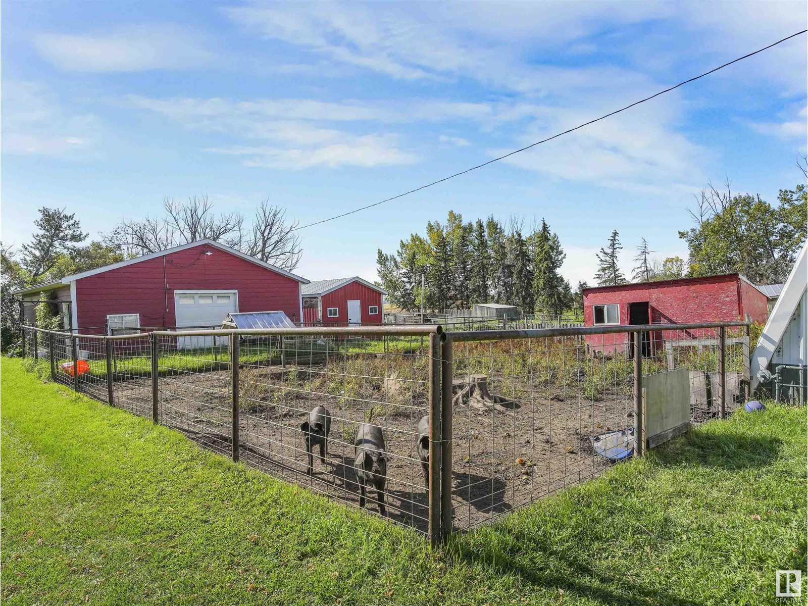 A&b 48472 Rge Rd 252, Rural Leduc County, Alberta  T4X 2S2 - Photo 14 - E4358349